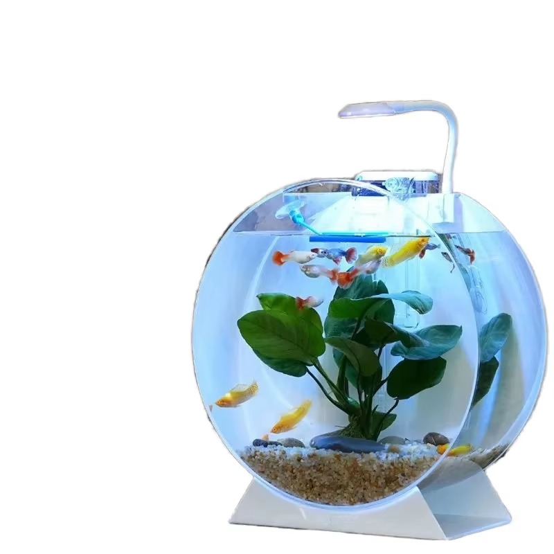 Aquarium Fish Sale - Лидер продаж, современные экологически чистые акриловые