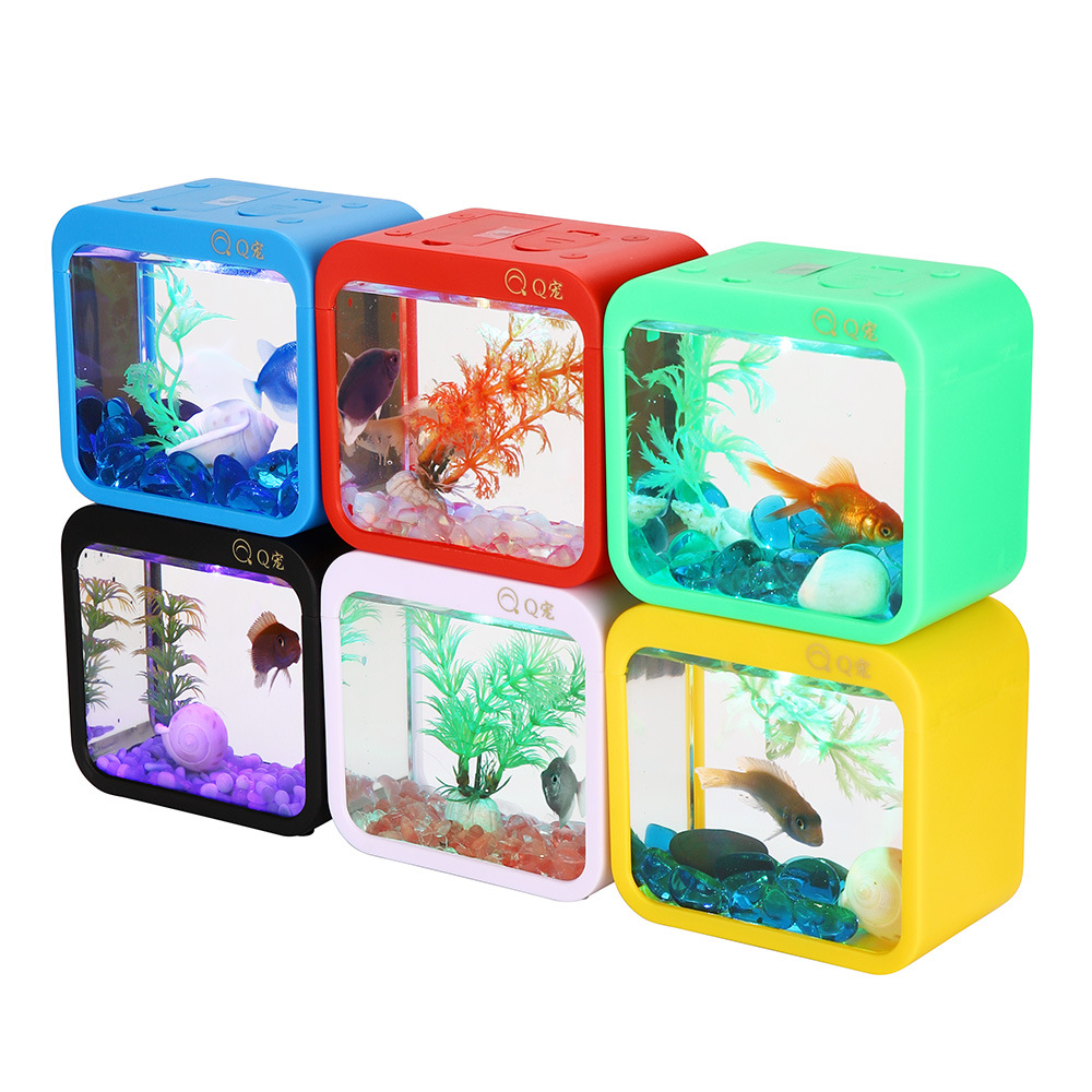 Красочная креативная коробка д – обзор и цена Aquarium Fish Colorful