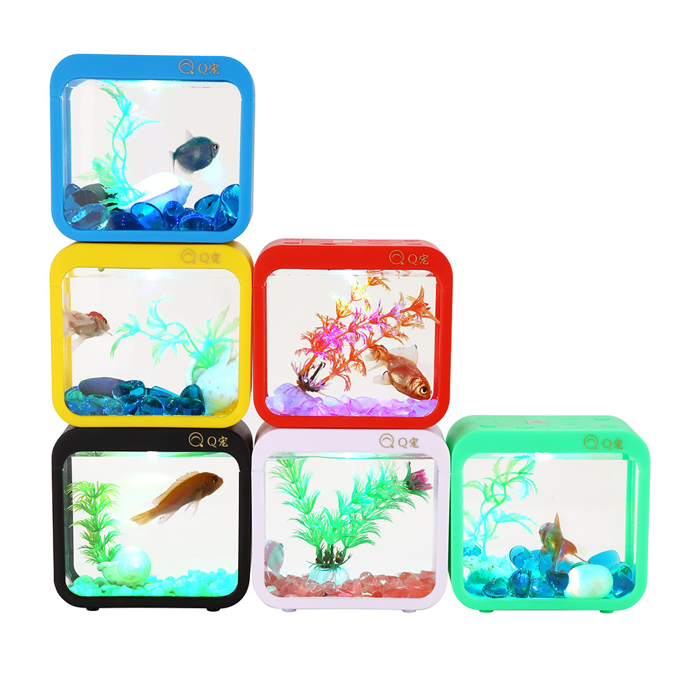 Красочная креативная коробка д – обзор и цена Aquarium Fish Colorful