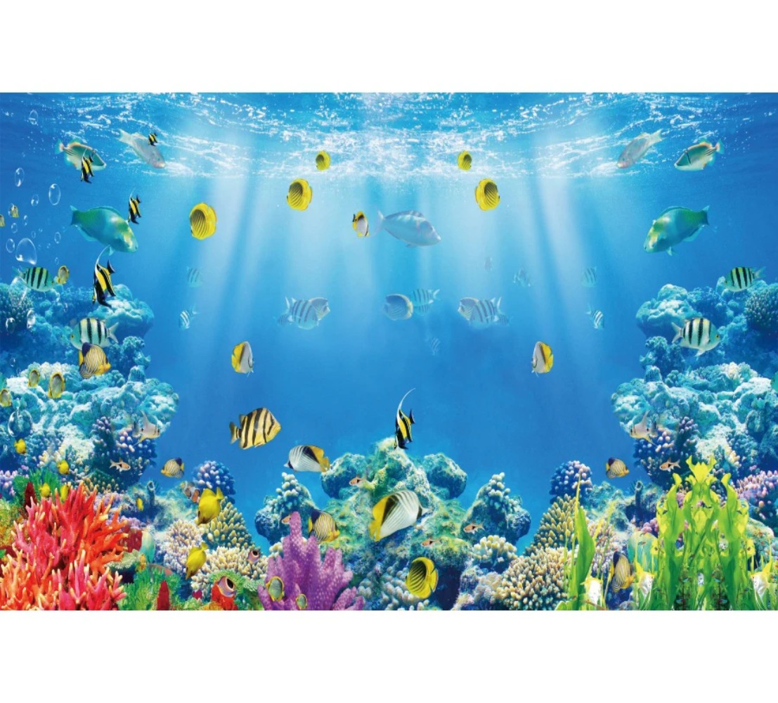 Фон для фотосъемки на тему под – обзор и цена Aquarium Fish Of The World