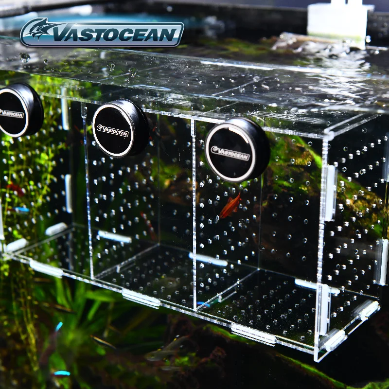 VASTOCEAN аквариум магнитный к – обзор и цена Aquarium Fish Real