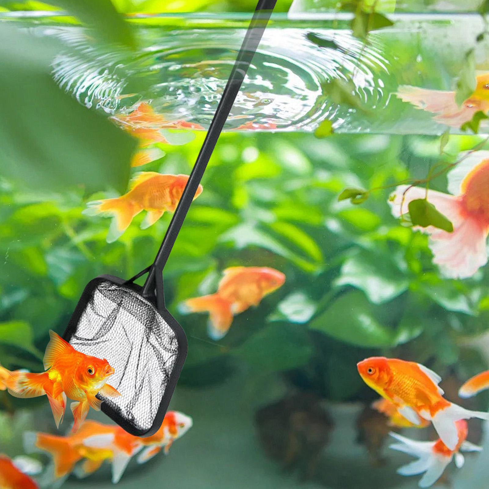 Сетки для чистки бассейнов, по – обзор и цена Aquarium Fish Real