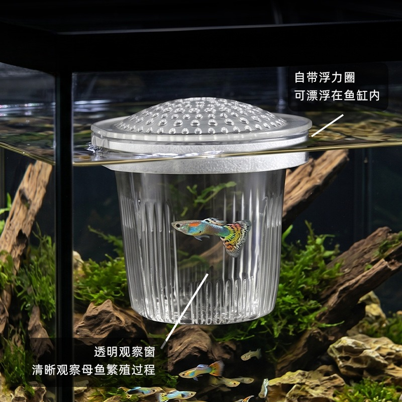 Чашка для разведения мальков и – обзор и цена Aquarium Fish Delivery