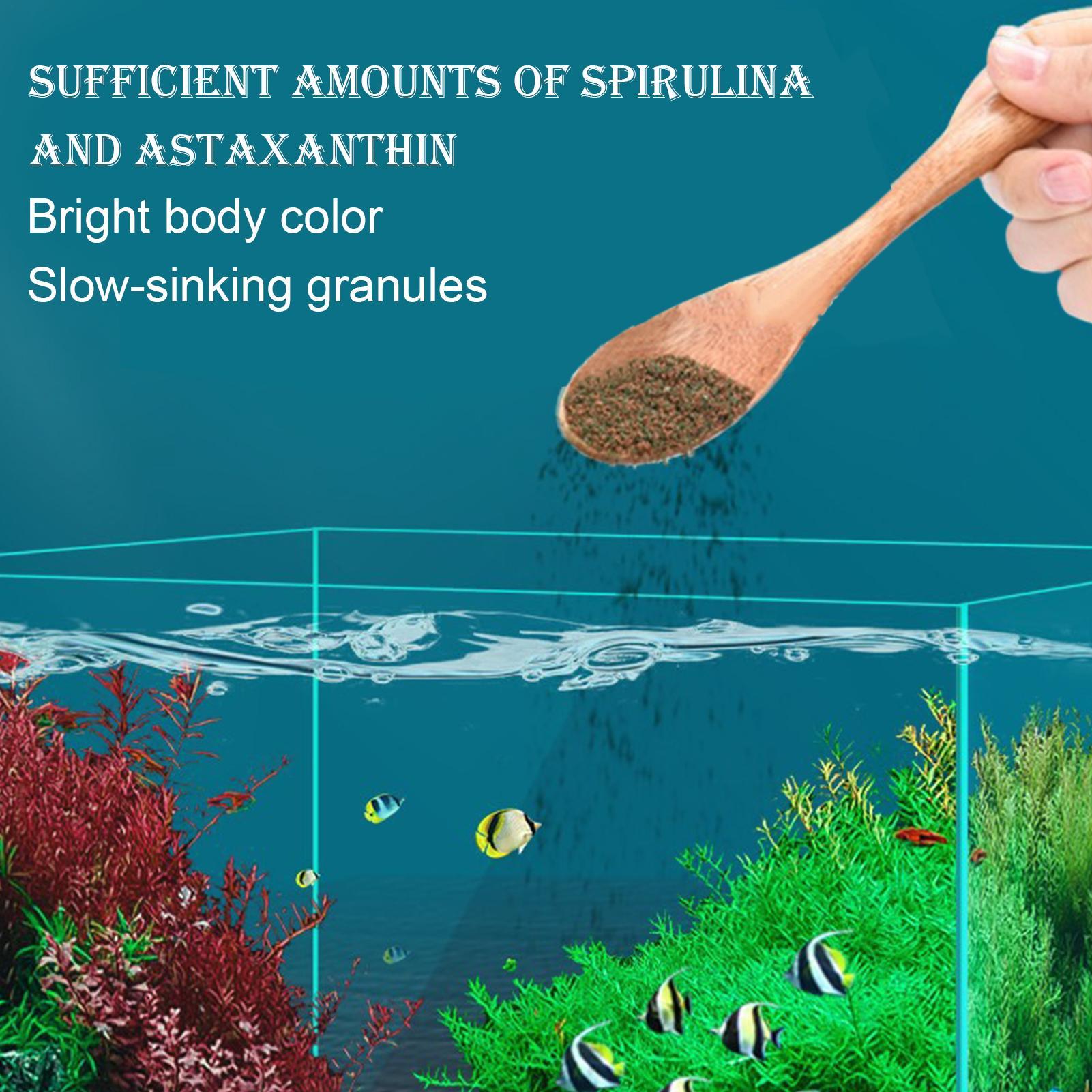 Корм для бетт, корм для декора – обзор и цена Aquarium Fish Restaurant