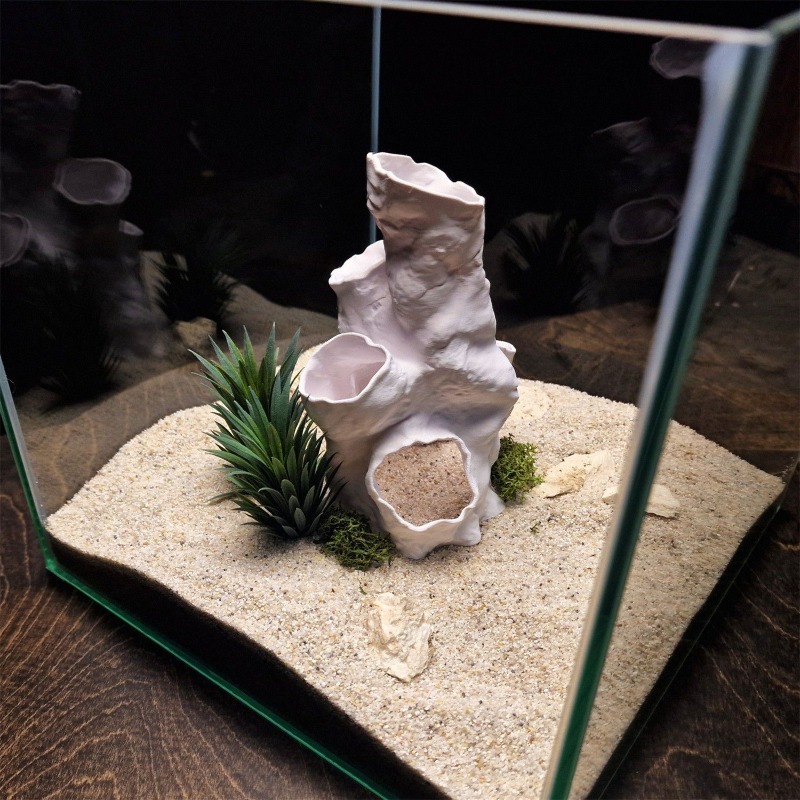 Горячая распродажа: 3D-печатны – обзор и цена Aquarium Fish Sale