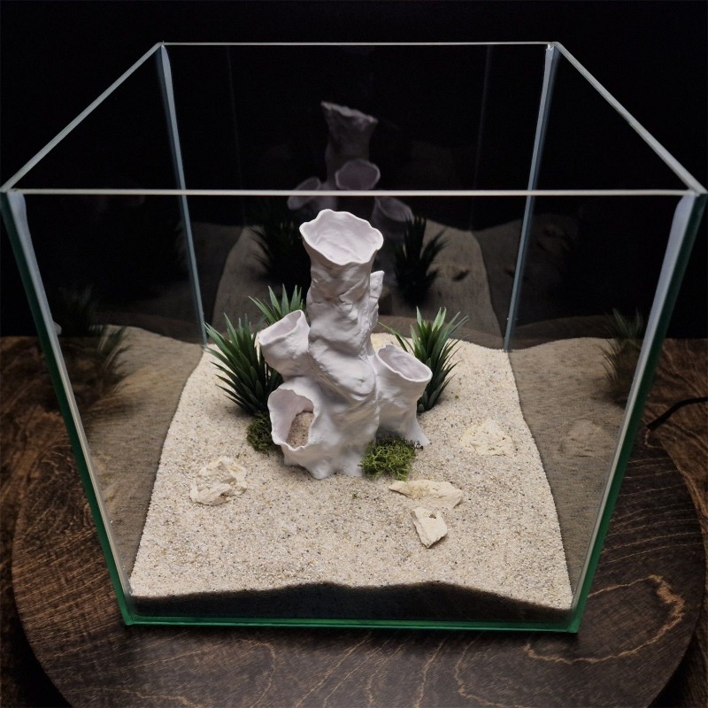 Горячая распродажа: 3D-печатны – обзор и цена Aquarium Fish Sale