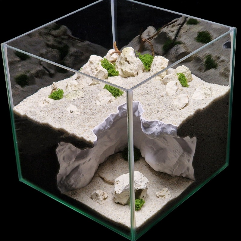 Ландшафтный дизайн аквариума д – обзор и цена Aquarium Fish Elevator