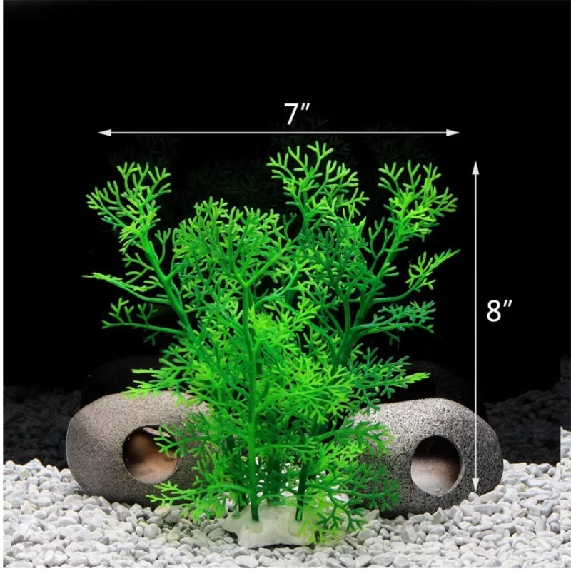 10 шт. Горячая новинка: пласти – обзор и цена Aquarium Fish Sale