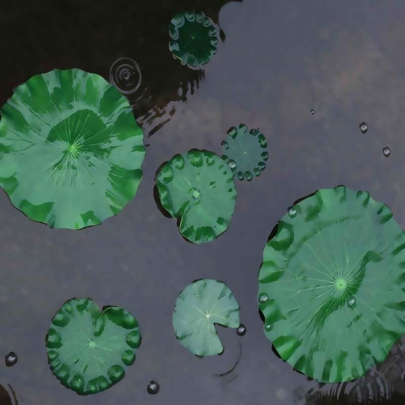 Искусственные листья лотоса 20 – обзор и цена Aquarium Fish Pond