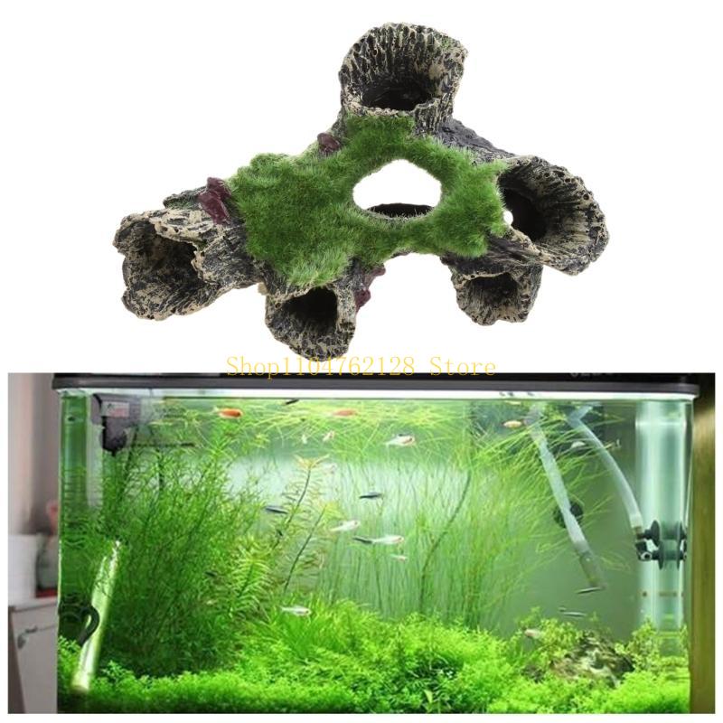 Рыба для украшения аквариума,  – обзор и цена Aquarium Fish Sale