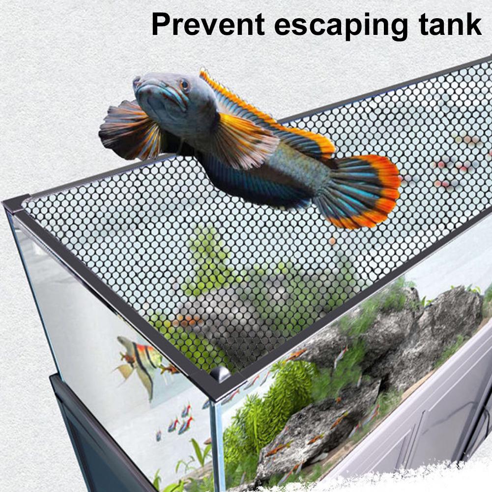 Магнитная сетка-крышка для акв – обзор и цена Aquarium Fish Jump Guard