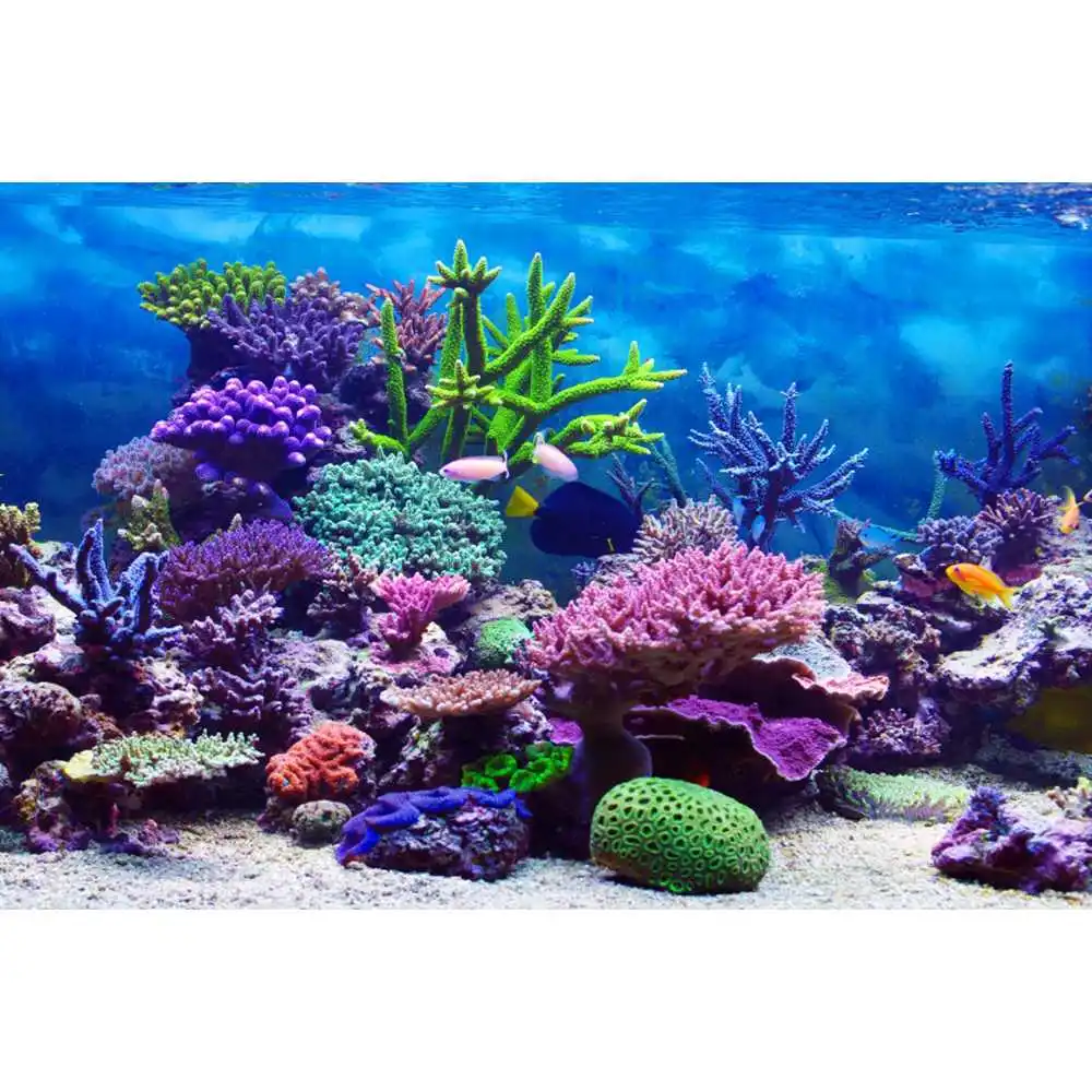 Подводный мир, фон морского дн – обзор и цена Aquarium Fish Of The World