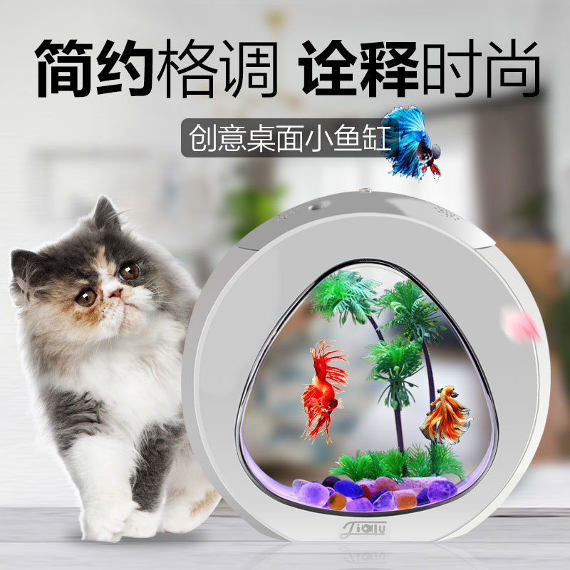 Jialu креативный настольный ак – обзор и цена Aquarium Fish Delivery
