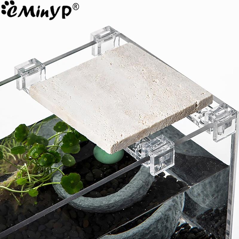 4 шт. акриловые зажимы для акв – обзор и цена Aquarium Fish Real
