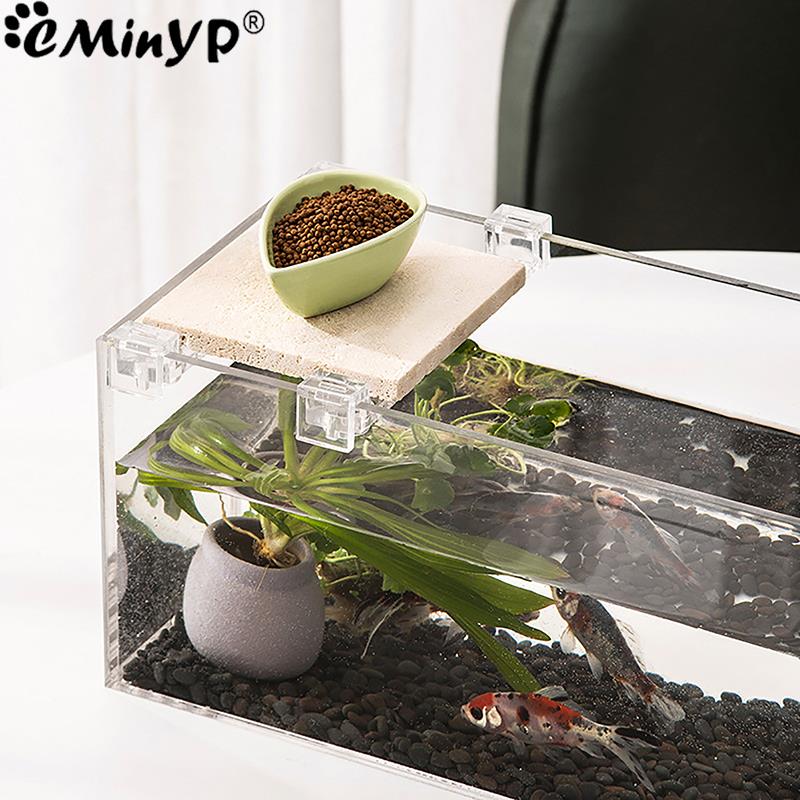 4 шт. акриловые зажимы для акв – обзор и цена Aquarium Fish Real