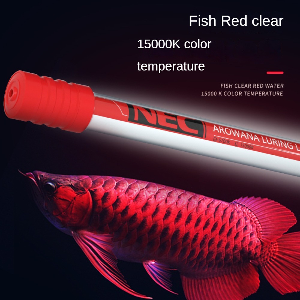 Свет для аквариума-амфибия, пр – обзор и цена Aquarium Fish Colorful