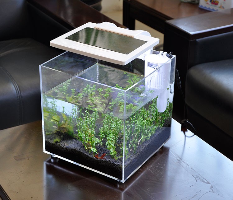 Мини-аквариум из акрила (25*25 – обзор и цена Aquarium Fish Sale