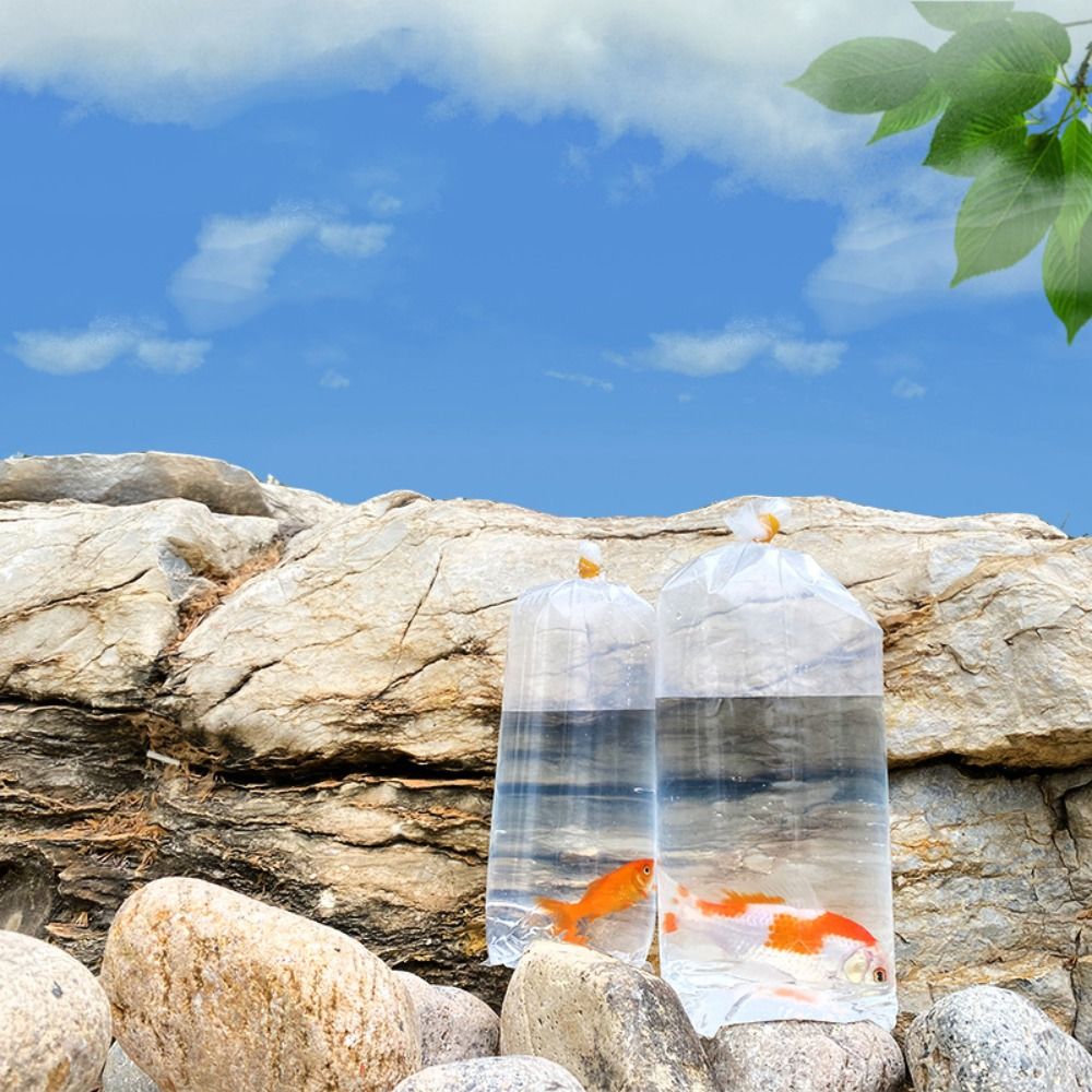 10 шт. пластиковых пакетов для – обзор и цена Aquarium Fish Delivery