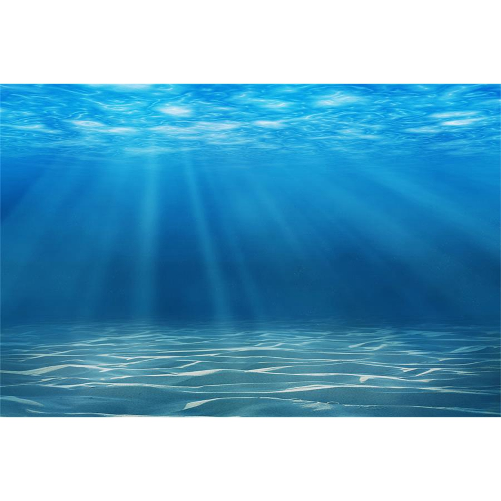 Подводный мир морского дна фон – обзор и цена Aquarium Fish Of The World