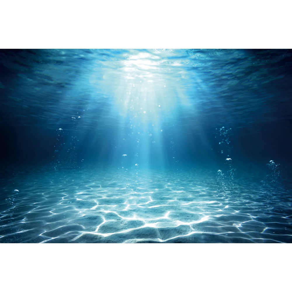Подводный мир морского дна фон – обзор и цена Aquarium Fish Of The World