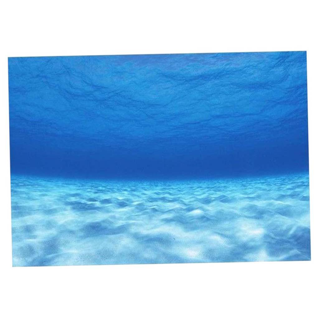 Боковой декоративный фон для а – обзор и цена Aquarium Fish Of The World