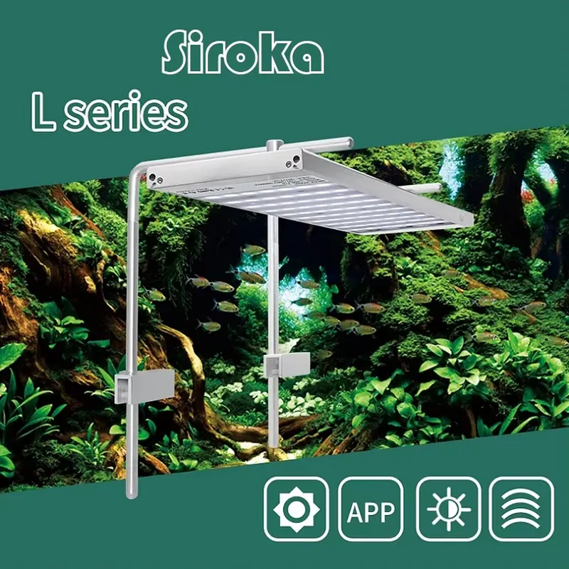 Горячая распродажа: Серебристы – обзор и цена Aquarium Fish Sale