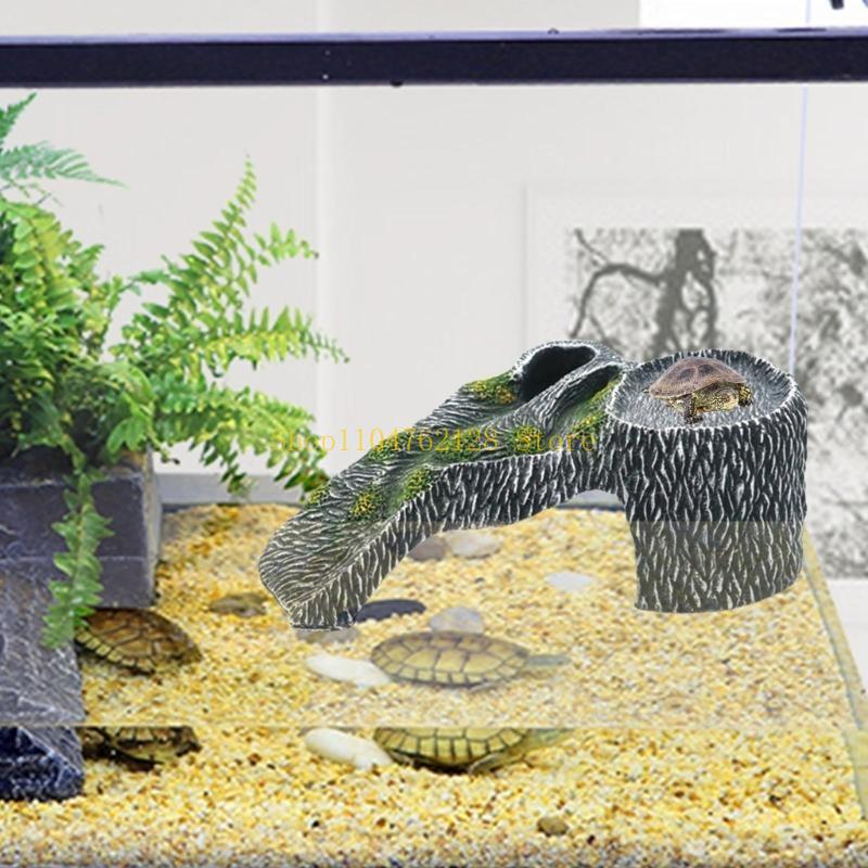Террариумы, платформа для купа – обзор и цена Aquarium Fish Sale