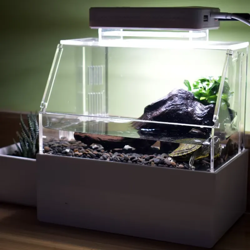 Настольный аквариум Relaxlines – обзор и цена Aquarium Fish Sale