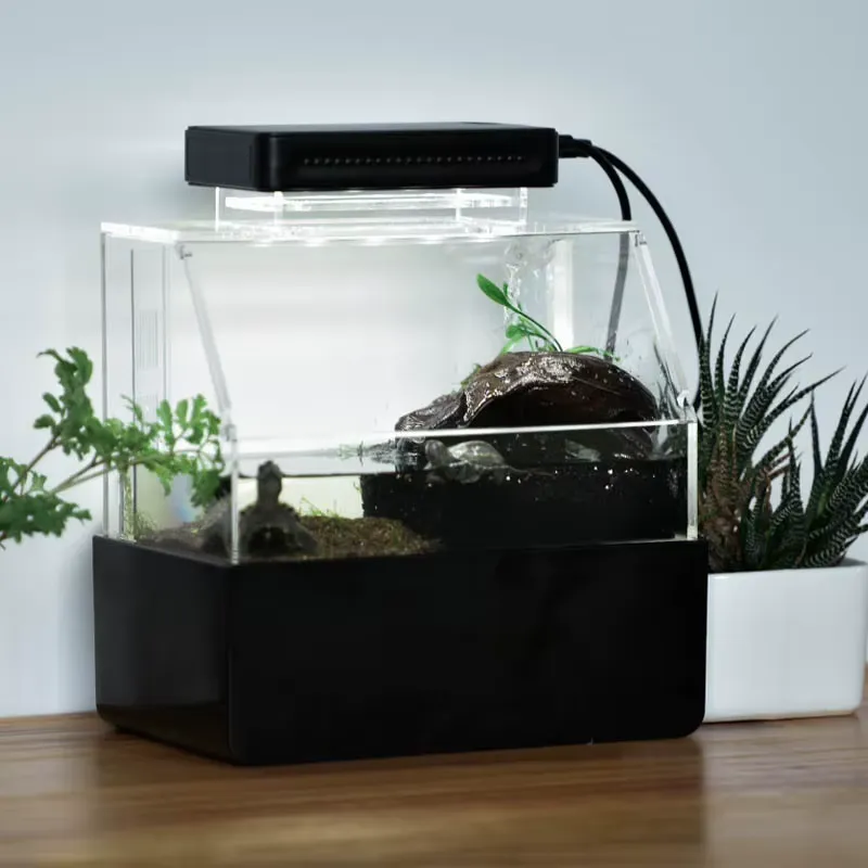 Настольный аквариум Relaxlines – обзор и цена Aquarium Fish Sale