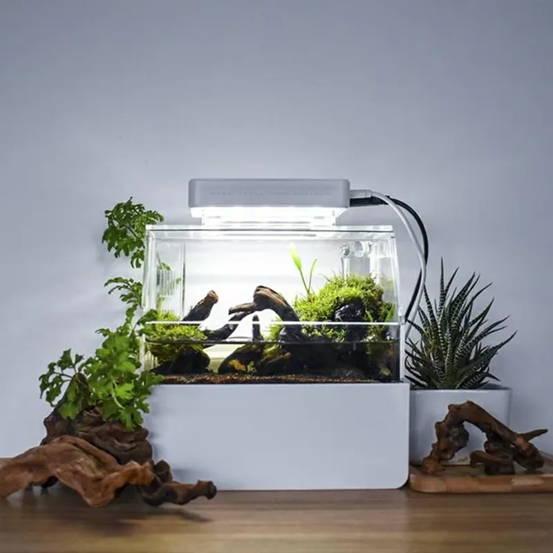Настольный аквариум Relaxlines – обзор и цена Aquarium Fish Sale