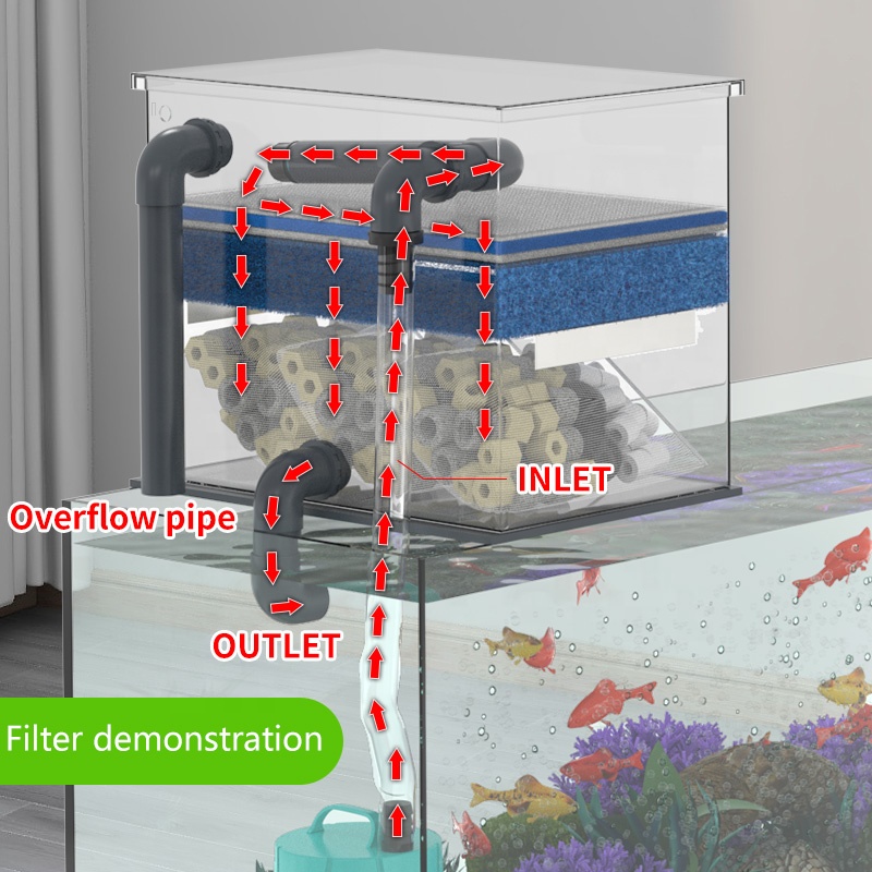 Прямые продажи с фабрики, филь – обзор и цена Aquarium Fish Sale
