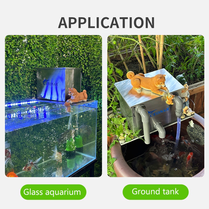 Прямые продажи с фабрики, филь – обзор и цена Aquarium Fish Sale